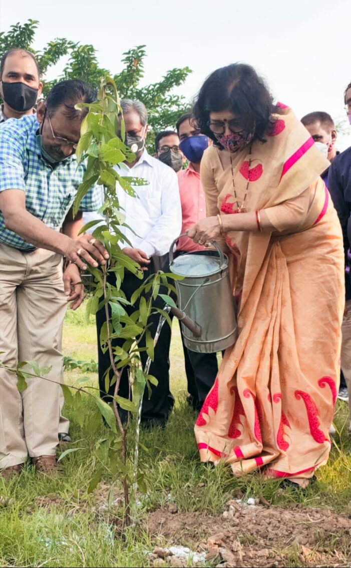 वृक्षारोपण अभियान चलता रहेगा- कुलपति