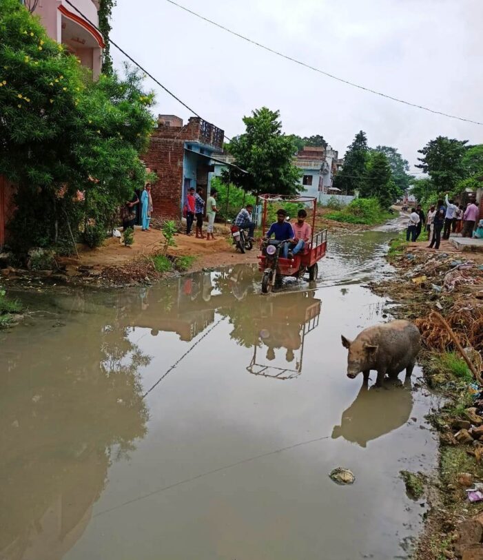 जलभराव से जूझ रहे अवंती नगर के बाशिंदे