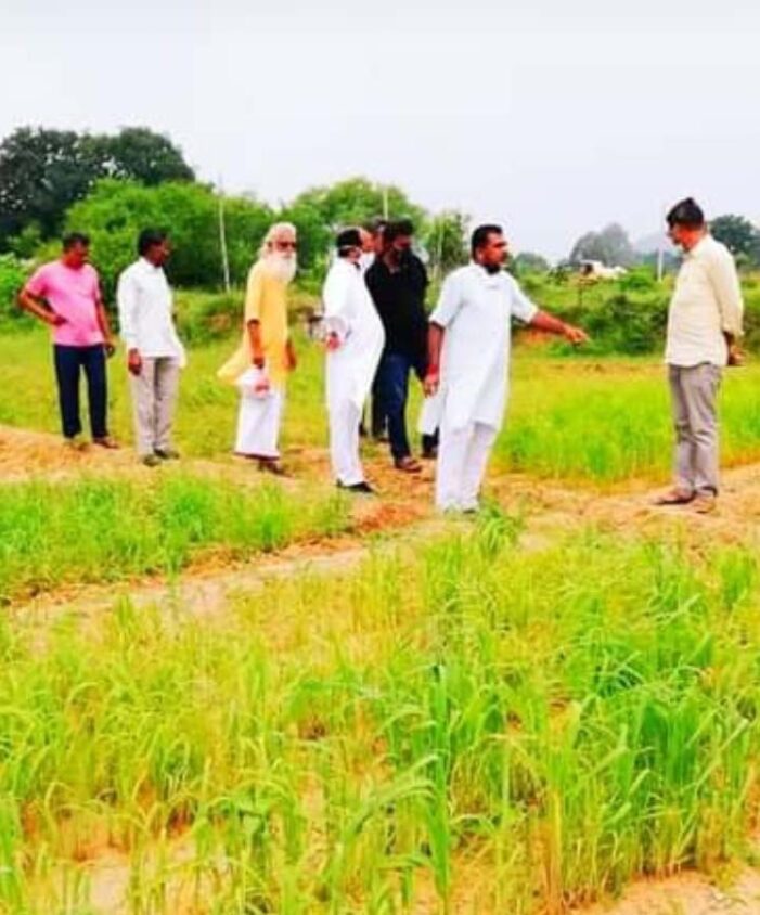 मोटे अनाजों को फिर से चलन में लाएं किसान