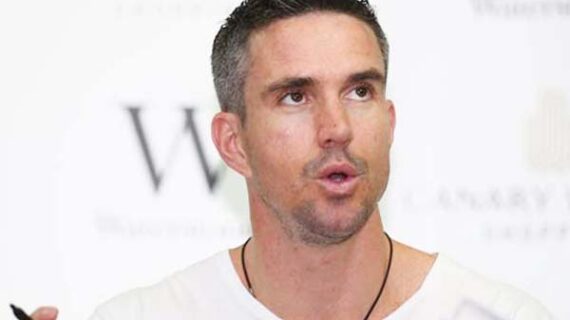 सीएसके टीम जीत सकती है आईपीएल : पीटरसन