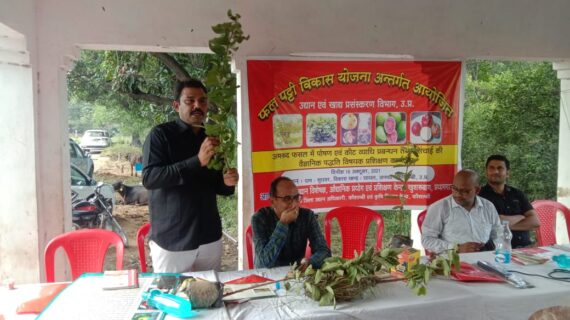 अमरुद की फसल को बचाए रखना विभाग की प्राथमिकता-पंकज कुमार शुक्ला