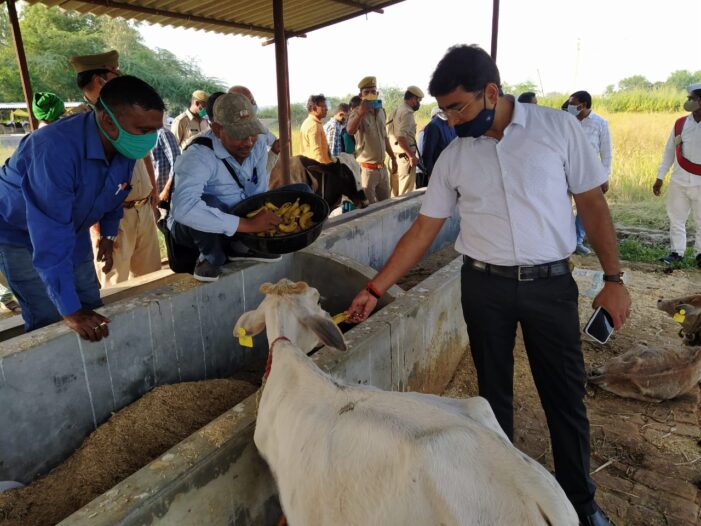 गोसंरक्षण केन्द्र का किया निरीक्षण गोसंरक्षण केन्द्र का किया निरीक्षण