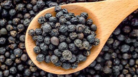 काली मिर्च सेवन के कई है फायदे
