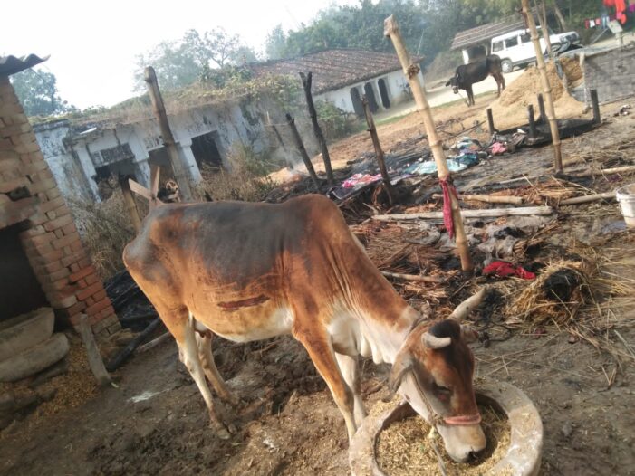 आग से तीन रिहायशी छप्पर राख