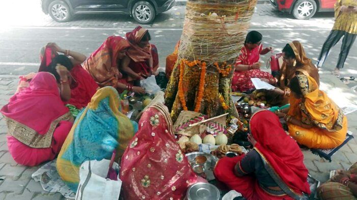 सुहागिन महिलाओं ने किया वट सावित्री पूजन
