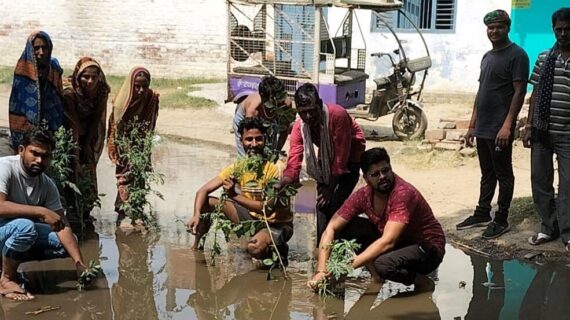 सड़क पर बह रहे पानी में किया पौध रोपण