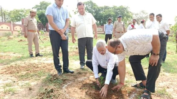 लगाए जा रहे वृक्ष भविष्य में पर्यावरण संरक्षण के लिए एक मील के पत्थर साबित होंगे-मंडलायुक्त