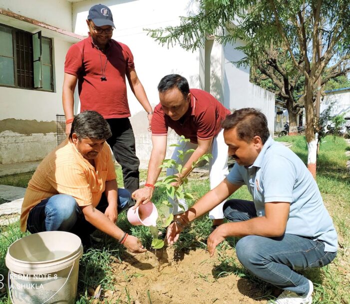 वृक्षारोपण को जन आंदोलन बनाने की जरूरत वृक्षारोपण को जन आंदोलन बनाने की जरूरत