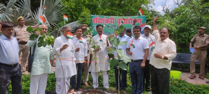 आजादी के अमृत महोत्सव के अवसर पर 15 तक चलने वाले हरिशंकरी वृक्षारोपण अभियान का किया गया शुभारम्भ