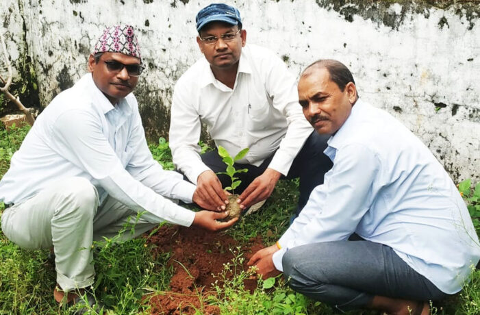पल्हारी में बीईओ ने किया वृक्षारोपण
