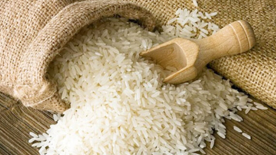 चावल की थोक कीमतों में आई गिरावट, सरकार के निर्यात पर पाबंदी का दिखा असर