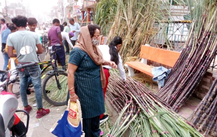 देवोत्थानी एकादशी: महिलाओं ने पूजा-अर्चना कर मांगी सुख-समृद्धि