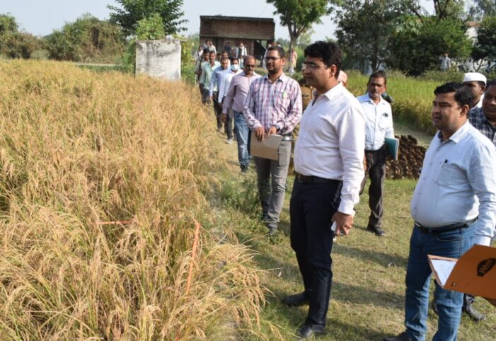 जिलाधिकारी ने धान की क्राफ कटिंग कराकर उसका मूल्याकन किया जिलाधिकारी ने धान की क्राफ कटिंग कराकर उसका मूल्याकन किया