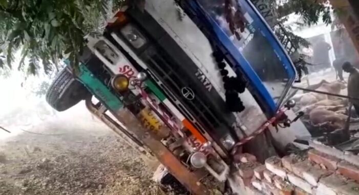 गोवंश से भरी ट्रक पलटी, एक दर्जन पषु मृत गोवंश से भरी ट्रक पलटी, एक दर्जन पषु मृत