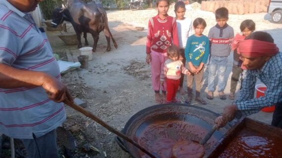 गांवों में फैल रही है करोहे के गुड़ की खुशबू