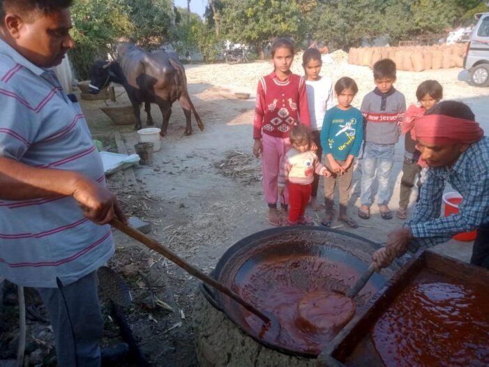 गांवों में फैल रही है करोहे के गुड़ की खुशबू गांवों में फैल रही है करोहे के गुड़ की खुशबू