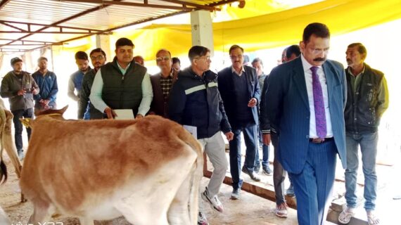 गौशालाओं में प्रतिदिन गोवंशों का करायें स्वास्थ्य परीक्षण: आनंद