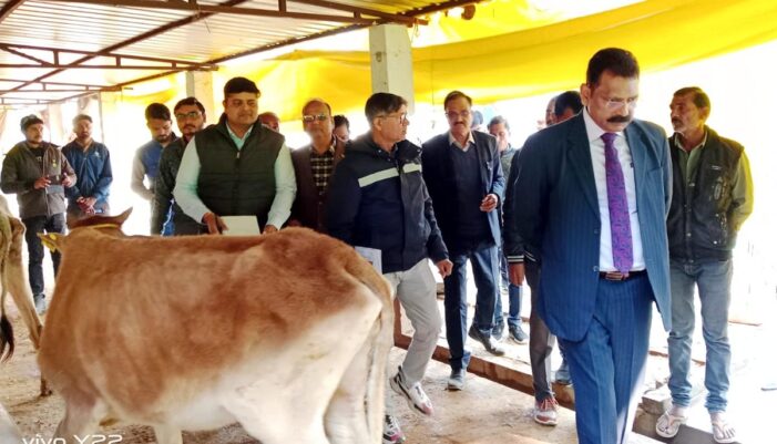 गौशालाओं में प्रतिदिन गोवंशों का करायें स्वास्थ्य परीक्षण: आनंद