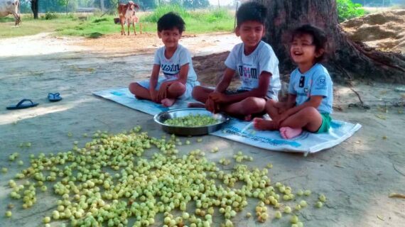 गांवों में फैल रही महुआ के फूलों की खुशबू