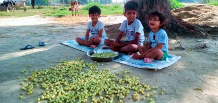 गांवों में फैल रही महुआ के फूलों की खुशबू