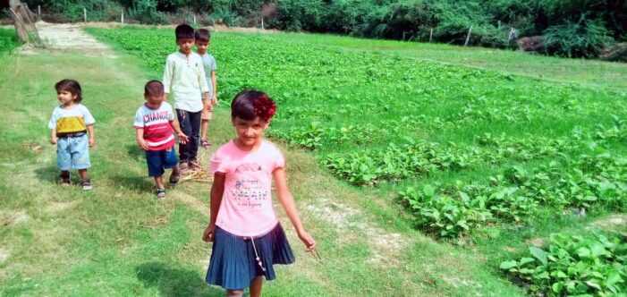 अच्छे प्रबंधन से छायी पौधषालो में हरियाली