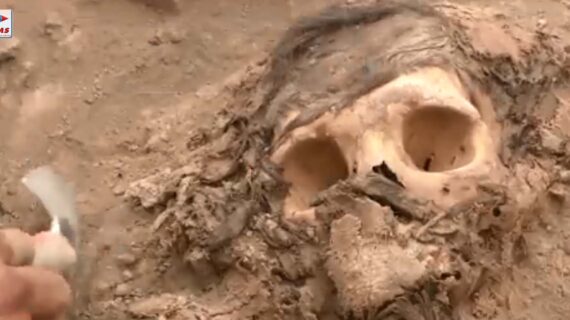 3000 साल पुरानी ममी खोज निकालने का दावा