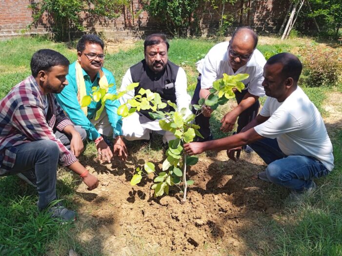 पर्यावरण संरक्षण हेतु नपा के पूर्व अध्यक्ष विजय जैन ने किया पौधरोपण