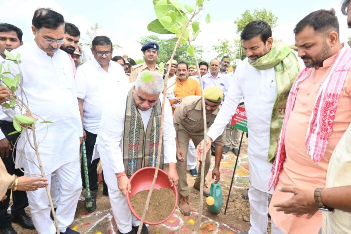 पौधरोपण अभियान में जन सहयोग बहुत जरूरी: मंत्री