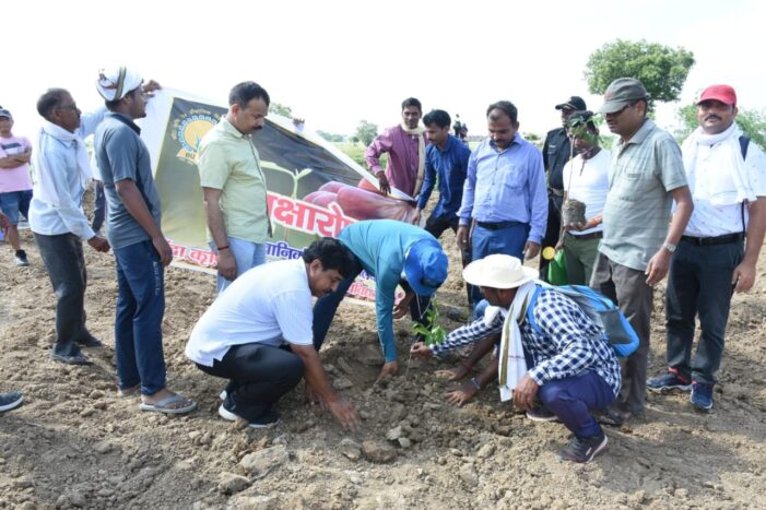 विश्वविद्यालय में उपयोगी और फलदार पौधों का हुआ रोपण