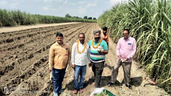 शरदकालीन गन्ने की बुवाई का हुआ शुभारम्भ