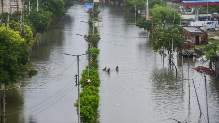 बजाज आलियांज लाइफ इंश्योरेंस ने पंजाब बाढ़ से प्रभावित पॉलिसीधारकों के लिए शीघ्र क्लेम प्रक्रिया की सुविधा प्रदान की